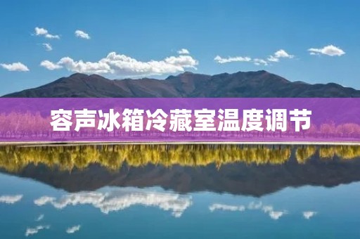 容声冰箱冷藏室温度调节:如何保持食物的新鲜与品质