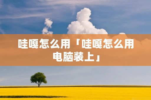 哇嘎怎么用「哇嘎怎么用电脑装上」