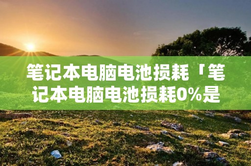 笔记本电脑电池损耗「笔记本电脑电池损耗0%是什么意思」