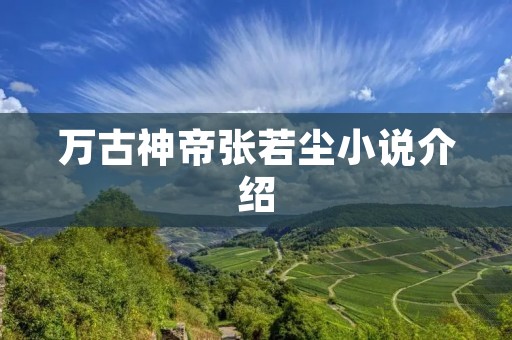 万古神帝张若尘小说介绍