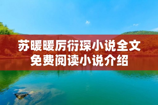 苏暖暖厉衍琛小说全文免费阅读小说介绍