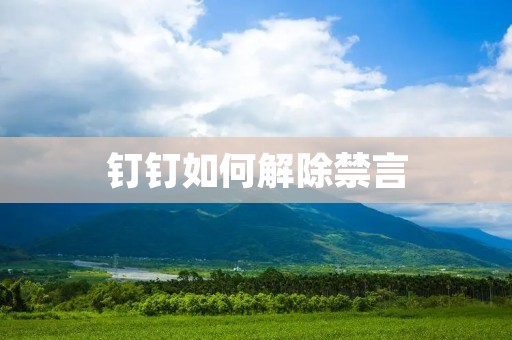 钉钉如何解除禁言