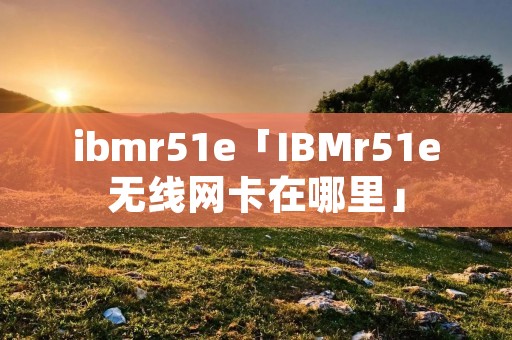 ibmr51e「IBMr51e无线网卡在哪里」
