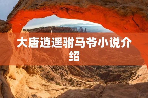 大唐逍遥驸马爷小说介绍