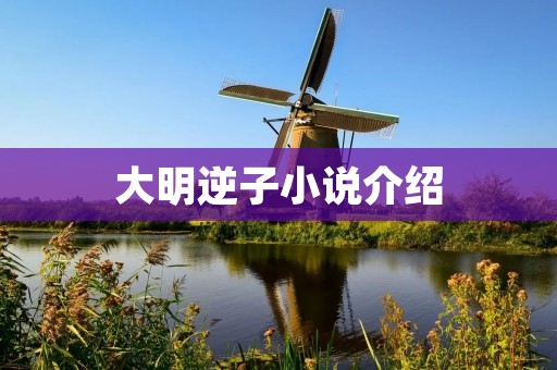 大明逆子小说介绍