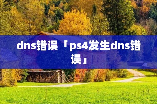 dns错误「ps4发生dns错误」