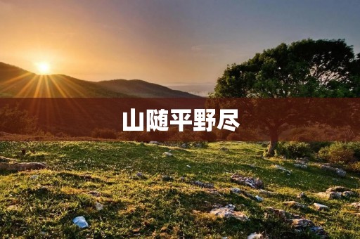 山随平野尽:大自然的壮丽景色