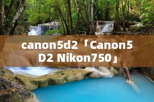 canon5d2「Canon5D2 Nikon750」