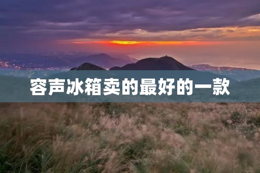 容声冰箱卖的最好的一款:冰霜技术革新,让冰箱成为您家中的冷藏艺术品 容声冰箱卖的最好的一款:冰霜技术革新,让冰箱成为您家中的冷藏艺术品