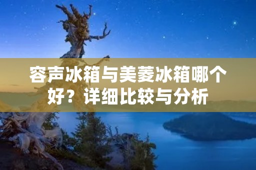 容声冰箱与美菱冰箱哪个好？详细比较与分析