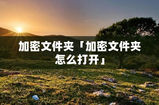加密文件夹「加密文件夹怎么打开」