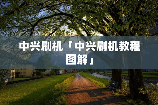 中兴刷机「中兴刷机教程图解」