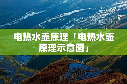 电热水壶原理「电热水壶原理示意图」 电热水壶原理「电热水壶原理示意图」