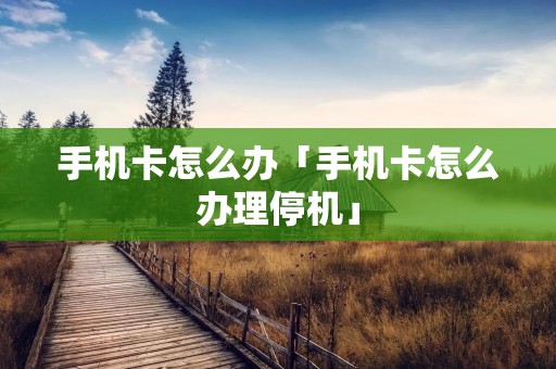 手机卡怎么办「手机卡怎么办理停机」