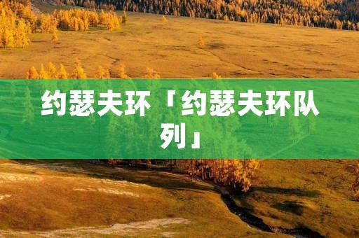 约瑟夫环「约瑟夫环队列」