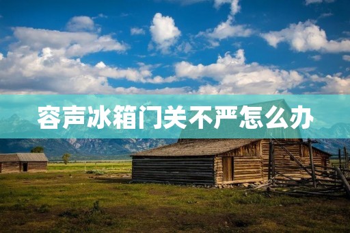 容声冰箱门关不严怎么办 容声冰箱门关不严怎么办