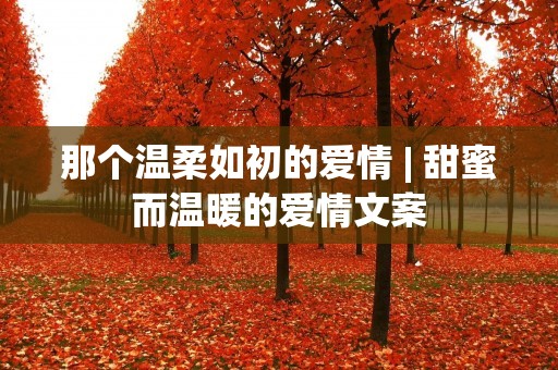 那个温柔如初的爱情 | 甜蜜而温暖的爱情文案