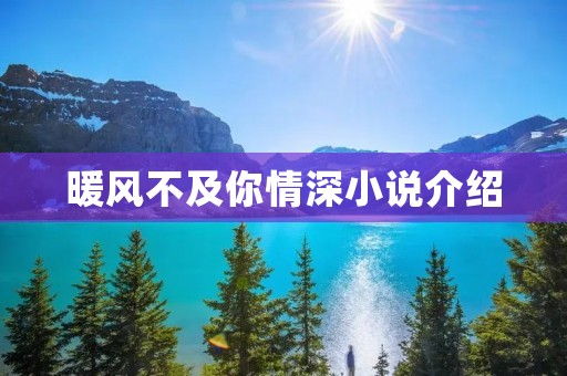 暖风不及你情深小说介绍