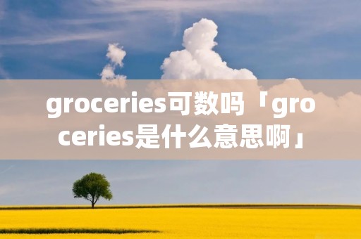groceries可数吗「groceries是什么意思啊」