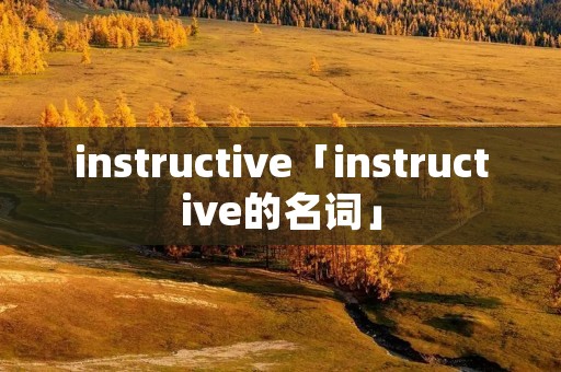 instructive「instructive的名词」