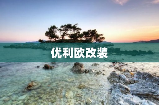 优利欧改装：打造独一无二的个性之选