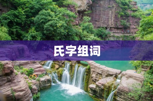 氏字组词:探寻氏字的历史渊源与文化内涵