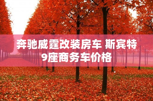 奔驰威霆改装房车 斯宾特9座商务车价格