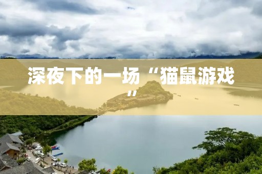 深夜下的一场“猫鼠游戏”:一只调皮猫咪和一只机智老鼠的故事 深夜下的一场“猫鼠游戏”:一只调皮猫咪和一只机智老鼠的故事