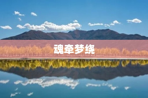 魂牵梦绕:探寻心灵深处的幻想世界