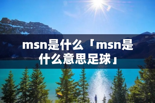 msn是什么「msn是什么意思足球」
