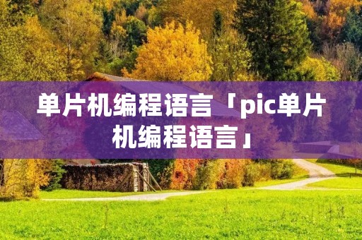 单片机编程语言「pic单片机编程语言」
