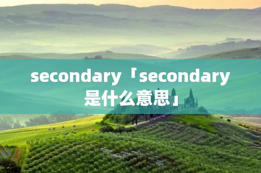 secondary「secondary是什么意思」