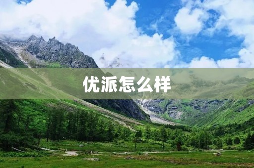 优派怎么样:一个全方位的评估 优派怎么样:一个全方位的评估