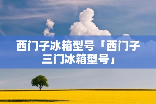 西门子冰箱型号「西门子三门冰箱型号」
