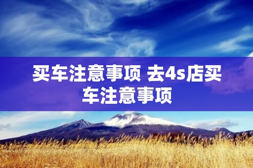 买车注意事项 去4s店买车注意事项