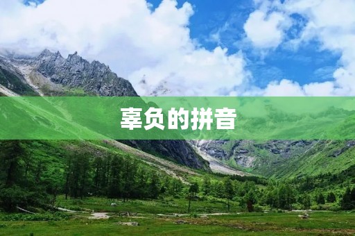 辜负的拼音:一场关于拼写错误的语言之旅