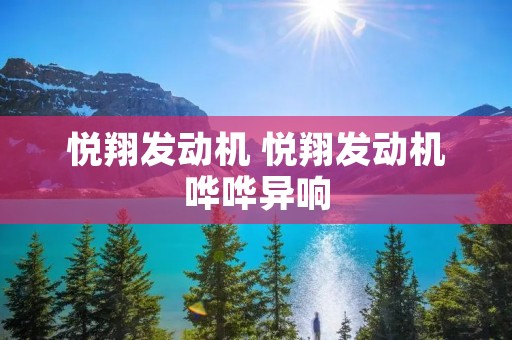 悦翔发动机 悦翔发动机哗哗异响