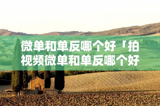 微单和单反哪个好「拍视频微单和单反哪个好」 微单和单反哪个好「拍视频微单和单反哪个好」