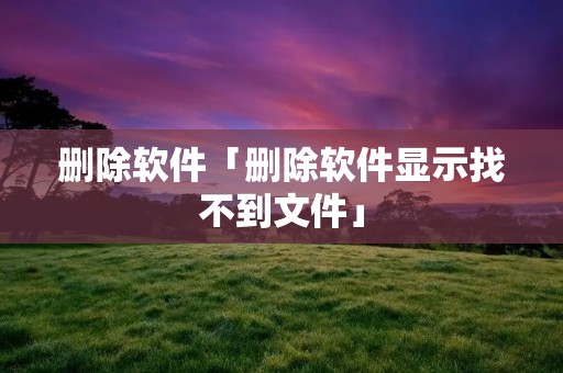 删除软件「删除软件显示找不到文件」
