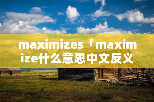 maximizes「maximize什么意思中文反义词」