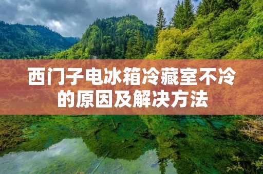 西门子电冰箱冷藏室不冷的原因及解决方法