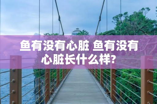 鱼有没有心脏 鱼有没有心脏长什么样?