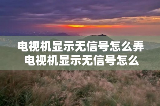 电视机显示无信号怎么弄 电视机显示无信号怎么弄没有遥控器 电视机显示无信号怎么弄 电视机显示无信号怎么弄没有遥控器