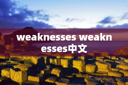 weaknesses weaknesses中文