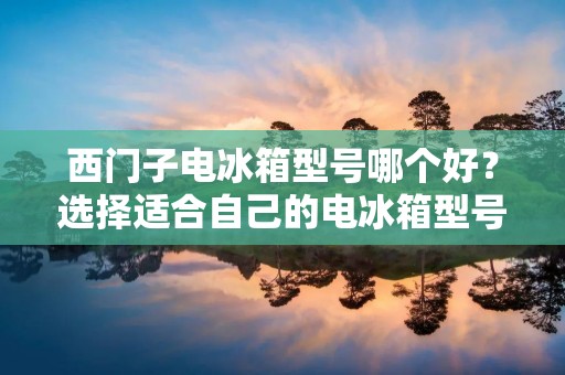 西门子电冰箱型号哪个好？选择适合自己的电冰箱型号是每个家庭都需要面对的问题。在市场上，西门子电冰箱以其优质的性能和卓越的设计备受消费者的喜爱。然而，面对众多的型号选择，我们应该如何确定哪个型号最适合我们的需求呢？