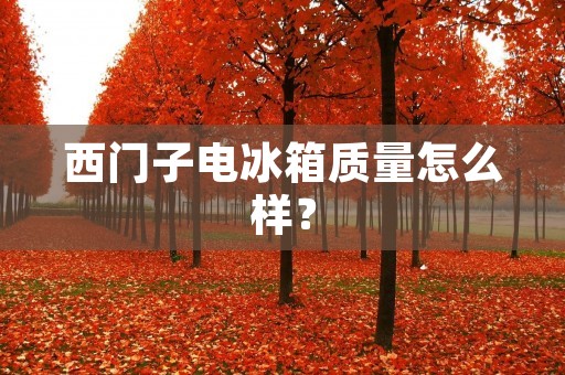 西门子电冰箱质量怎么样？