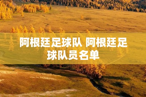 阿根廷足球队 阿根廷足球队员名单