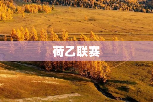荷乙联赛:荷兰足球的**舞台 荷乙联赛:荷兰足球的**舞台
