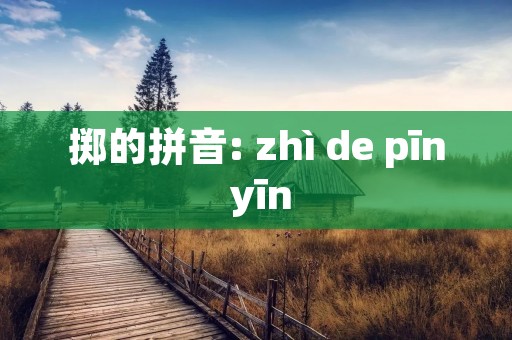 掷的拼音: zhì de pīn yīn