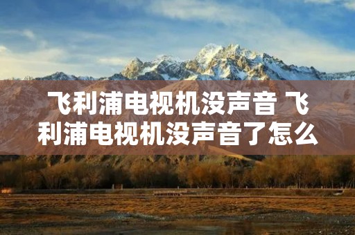 飞利浦电视机没声音 飞利浦电视机没声音了怎么恢复?